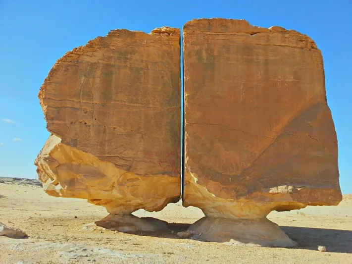 عالم يكشف سر انقسام حصاة النصلة وعلاقته بكائنات فضائية