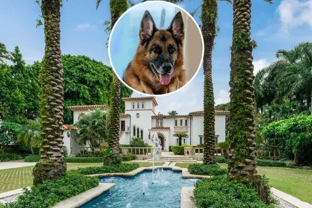 أغنى كلاب العالم يبيع قصره بـ32 مليون بعد شرائه من مادونا ! (فيديو)