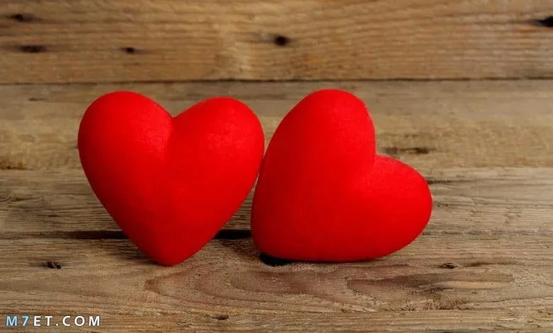 كلمات تعشقها النساء من الرجال