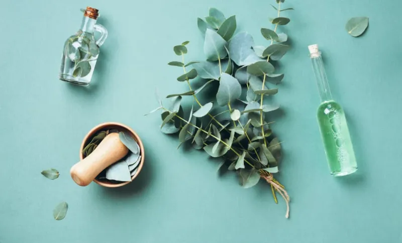 فوائد الكافور للرجال وطريقة استخدامه الصحيحة