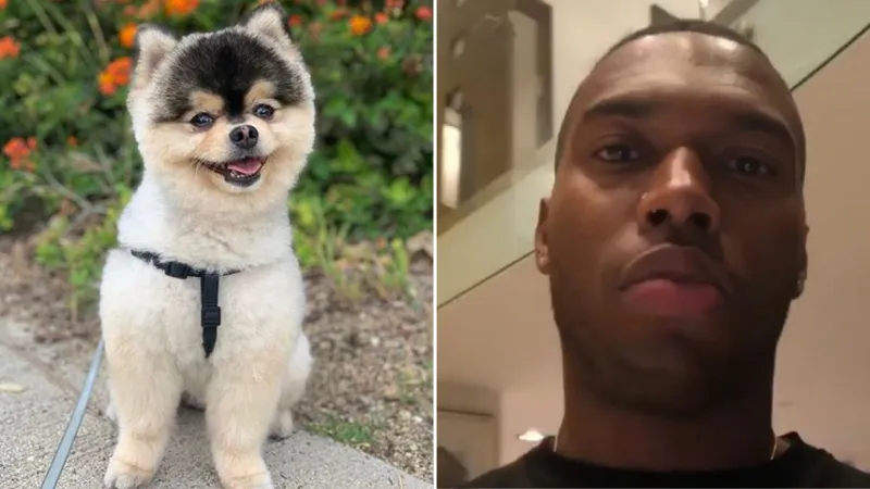 مهاجم ليفربول السابق يدفع 30 ألف دولار من أجل كلب