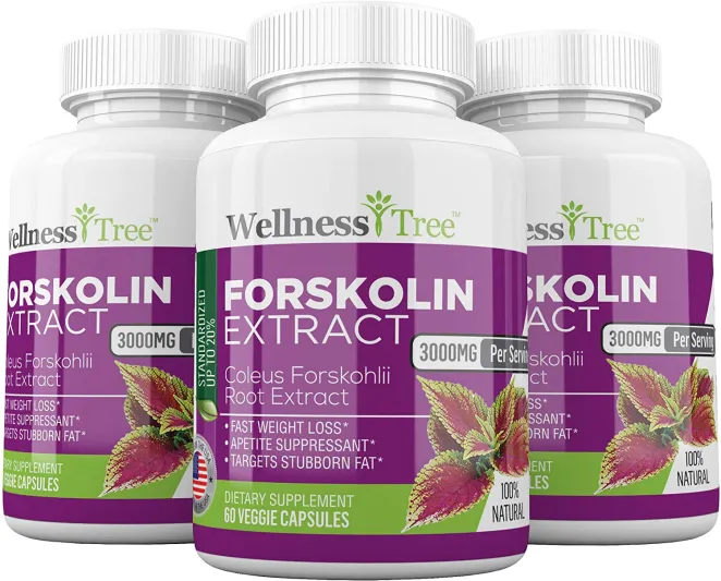 المكملات الغذائية وأفضل بروتين للتنشيف وتقوية العضلات