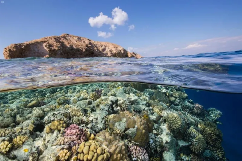 شاهد تضاريس وطبيعة المكان الذي سيقام فيه مشروع مدينة ذا لاين