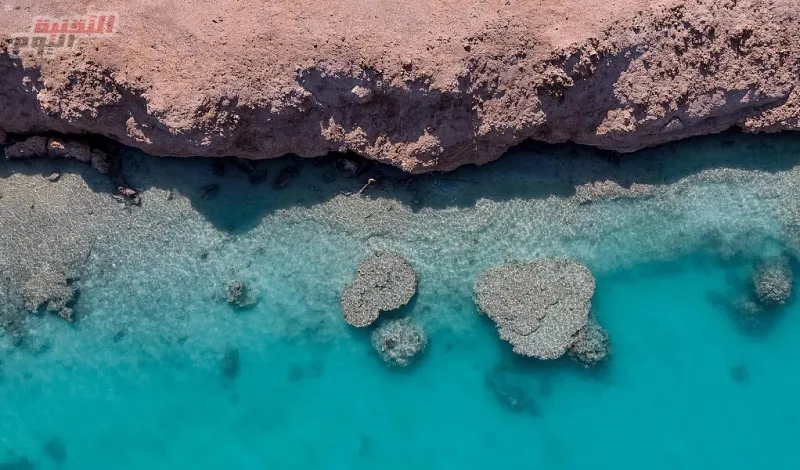 شاهد تضاريس وطبيعة المكان الذي سيقام فيه مشروع مدينة ذا لاين