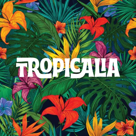  أمازونيكو يطلق أول وجبة برانش له تحمل اسم "تروبيكاليا" 