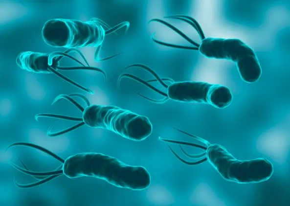 أعراض جرثومة المعدة النفسية وكيف يمكن علاجها؟