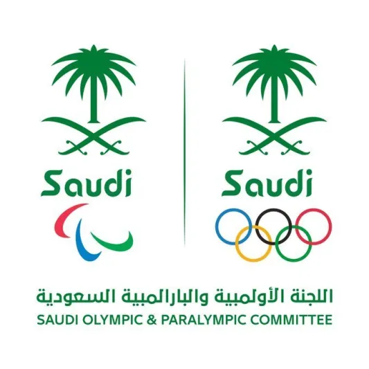 وزارة الرياضة تقر تأسيس خمسة اتحادات بارالمبية جديدة