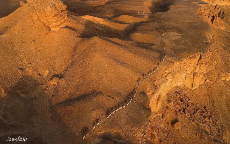 خطأ من "غوغل ماب" يهدي مصورًا سعوديًا جائزة عالمية (صور)