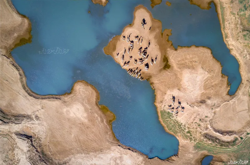 خطأ من "غوغل ماب" يهدي مصورًا سعوديًا جائزة عالمية (صور)