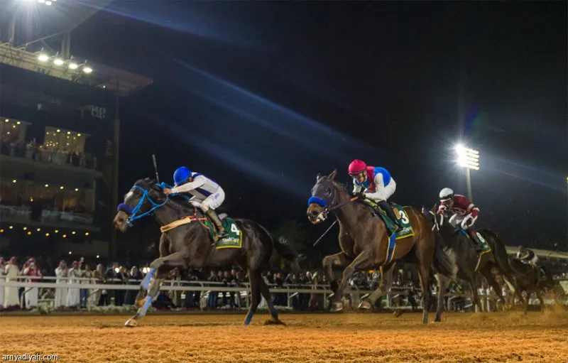 موسوعة غينيس: كأس السعودية للفروسية تحطم رقمًا قياسيًا 