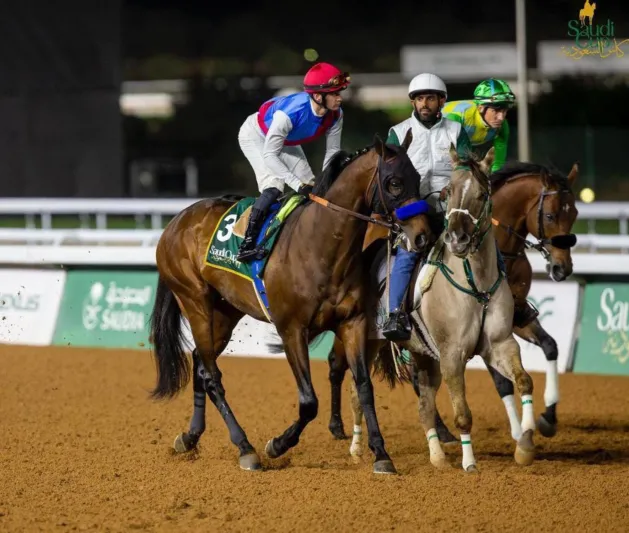 أبرز الجياد السعودية المشاركة في كأس دبي العالمي 