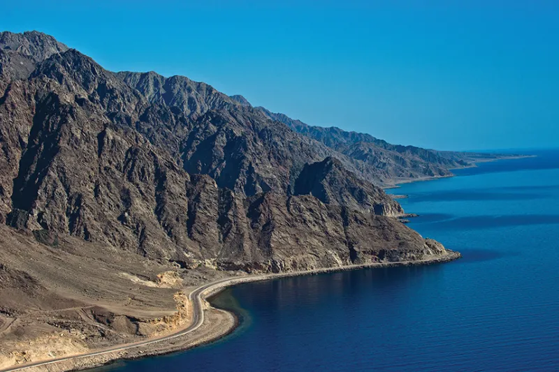 وول ستريت تحتشد حول «نيوم»