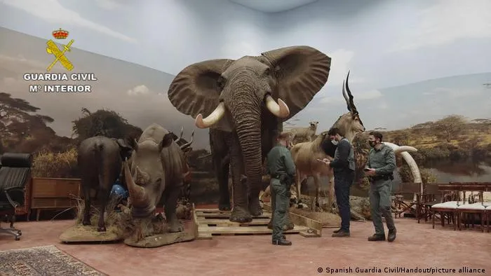 ضبط حيوانات محنطة بـ 32 مليون دولار