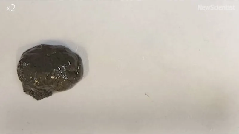 ابتكار «روبوت لزج» بقدرة على اختراق الأجساد البشرية! (فيديو)