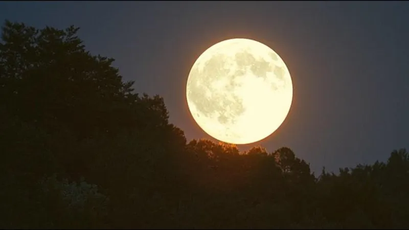 سماء المنطقة العربية تشهد ثاني بدر عملاق اليوم