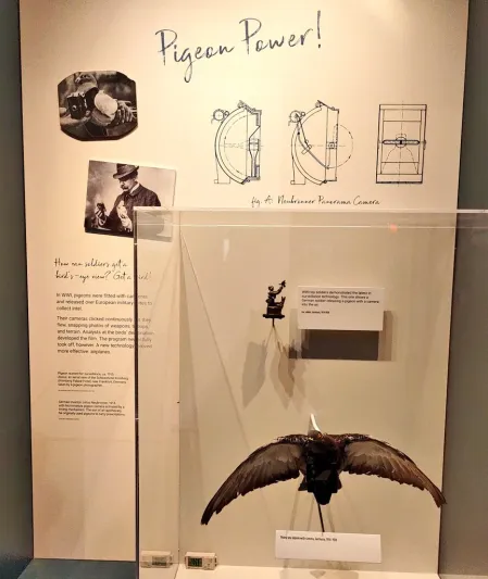 10 صور من متحف «الجاسوسية العالمية».. يحتوي على مقتنيات نادرة وغريبة