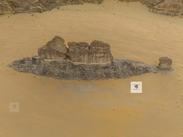 سمكة الصحراء بالعلا تجذب أنظار السعوديين.. فما قصتها؟ 