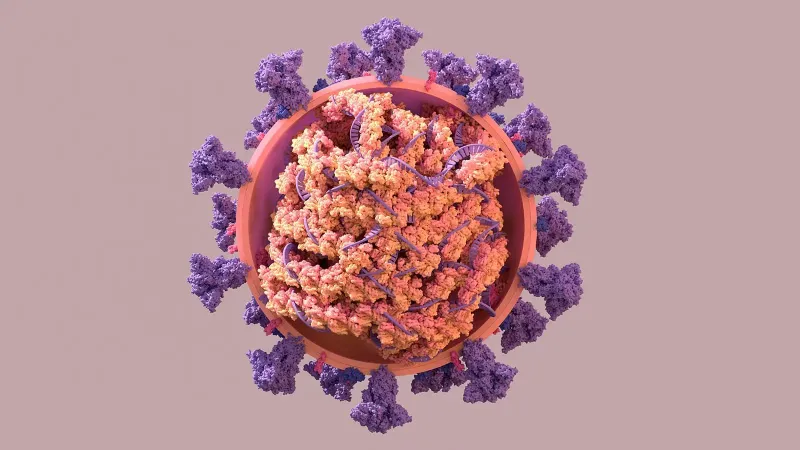 لماذا يعد متغير «Ba.5» الجديد السلالة الأخطر من فيروس كورونا؟ 