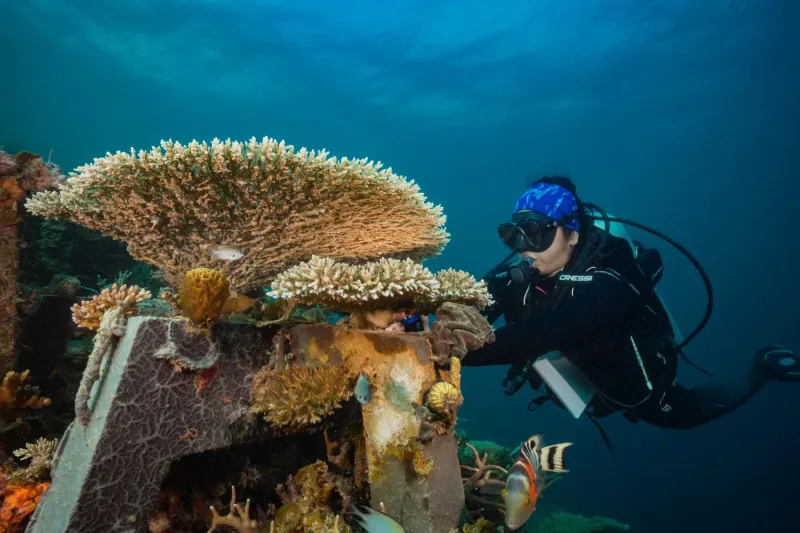 4 ساعات للغوص.. أنت في أمان تحت الماء