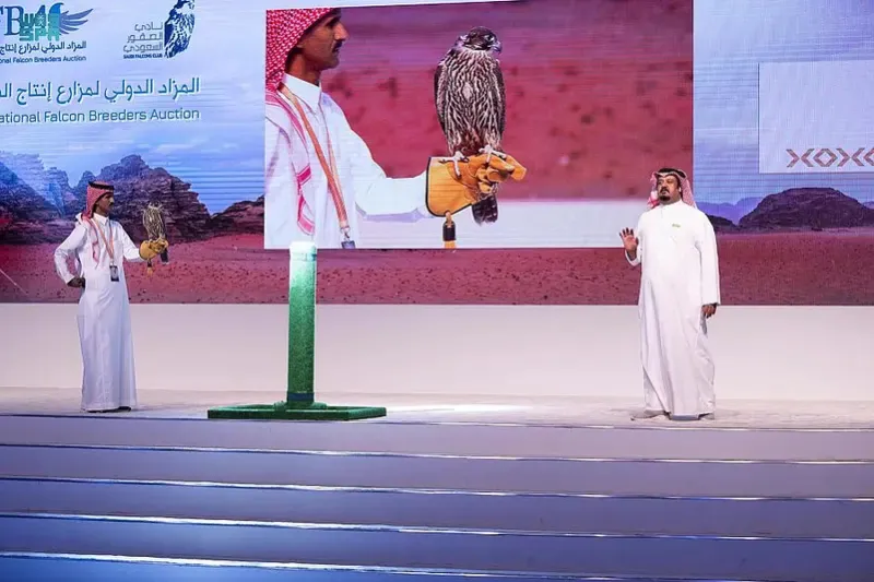 بيع صقرين مقابل 71 ألف ريال في المزاد الدولي للصقور 