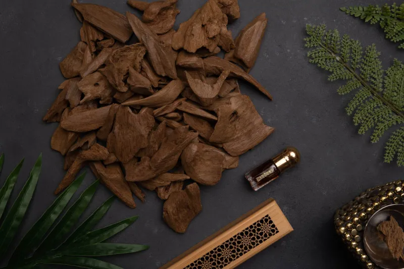 هل تخيلت يومًا أن يكون لمجتمع كامل رائحة؟