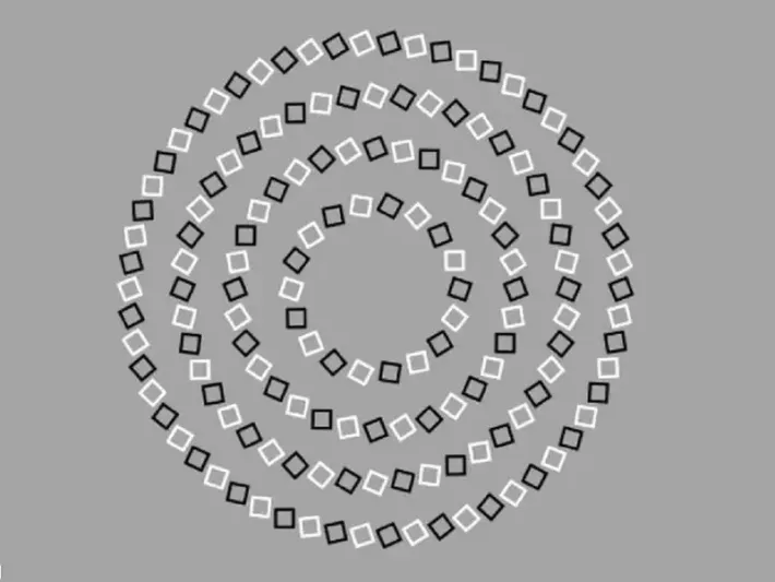 لقياس نسبة ذكائك.. خمن عدد الدوائر في 12 ثانية 