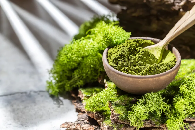 الطحالب البحرية لأداء بدني أقوى.. لماذا يفضلها نجوم كرة القدم؟