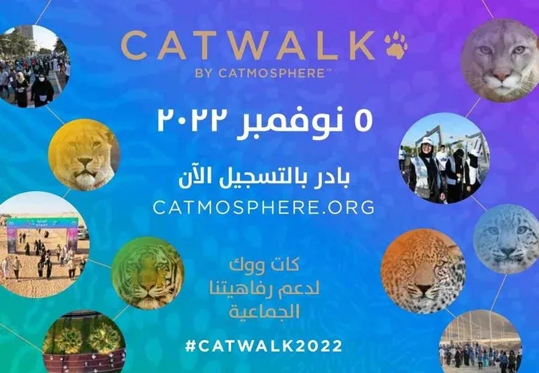 «كاتموسفير» تطلق مسيرة «كات ووك» المجتمعية للحفاظ على القطط البرية 