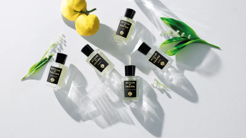 ترجمة فنية لعطور المنزل من Signatures of the Sun