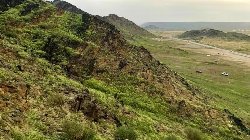 جبال مكة المكرمة تكتسي باللون الأخضر (فيديو)