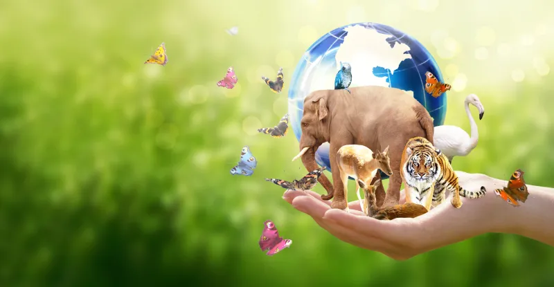 الذكاء الاصطناعي يتنبأ بـ «سيناريو مرعب» لمستقبل كوكب الأرض