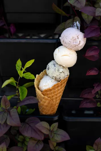 تجربة آسرة في «إميرالد زانجبار» حيث الماء والخضرة وتدليل الذات