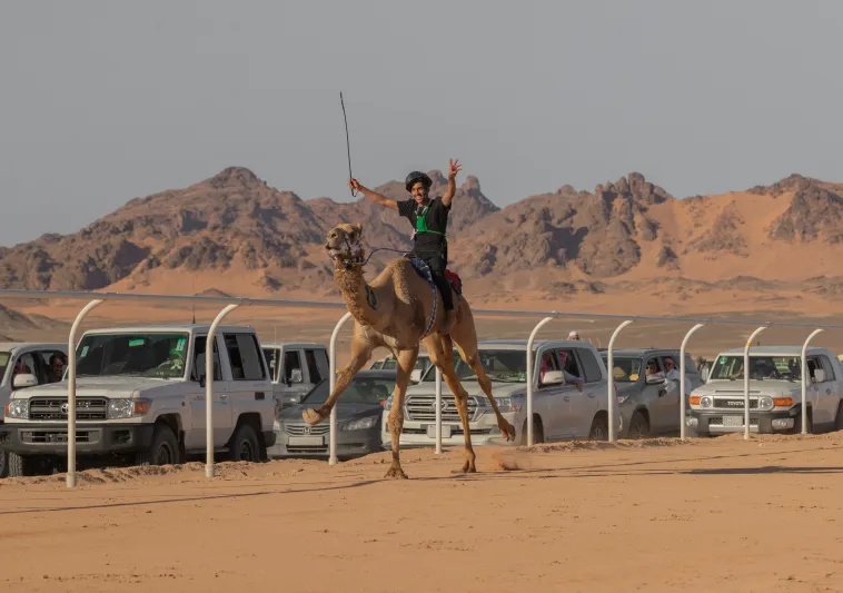 كأس العُلا للهجن.. منافسات شديدة في اليوم الأول للحدث العالمي