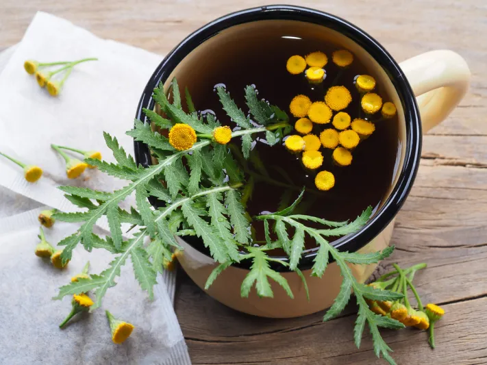 هذه النبتة تساعد على الوقاية من الشيخوخة