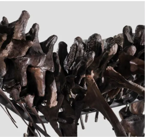 بيع هيكل عظمي نادر لتيرانوصور "تي - ريكس" بمبلغ ضخم