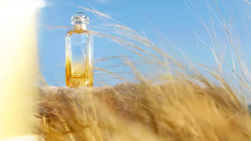 سهرات رمضان ولياليه لن تكتمل إلا بعطرٍ مناسب.. إليك أبرزها