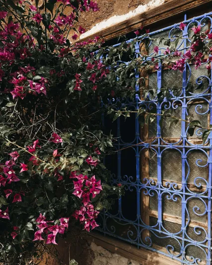 في شفشاون وعمان ومراكش.. كاميرا "آيفون 14" تلتقط منظور عبدالله الشايجي بتفاصيله الأخّاذة