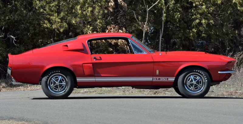 سيارة "Shelby GT350" نادرة للبيع.. هل تشتريها؟