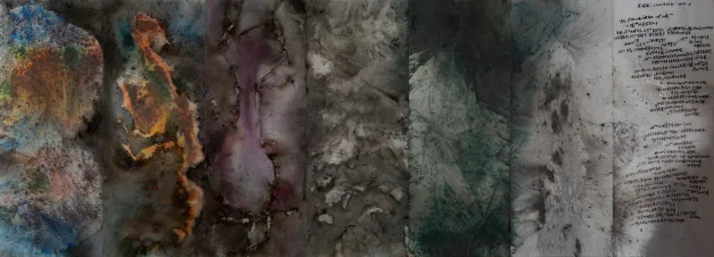 معرض  ‎ ..Cai Guo-Qiangرحلة فنية سماوية باهرة