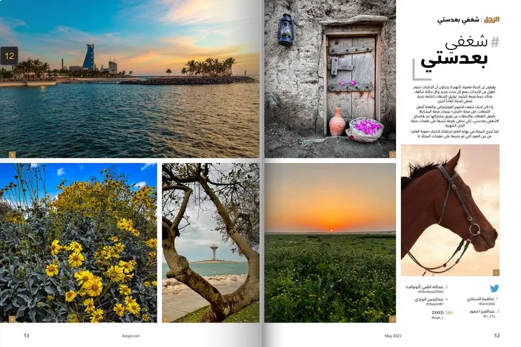 أفضل اللقطات المشاركة في «شغفي بعدستي» لشهر مايو