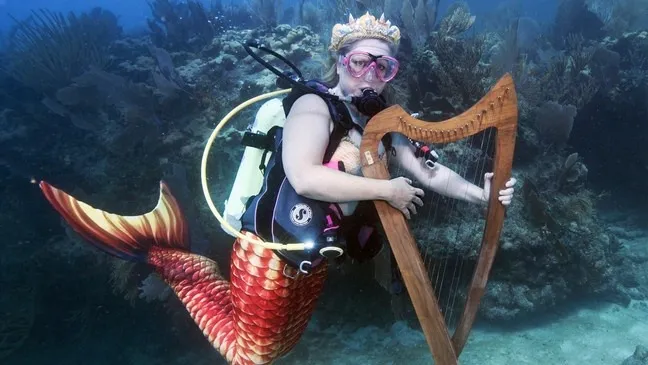 حفل موسيقي تحت الماء للتوعية بحماية الشعاب المرجانية