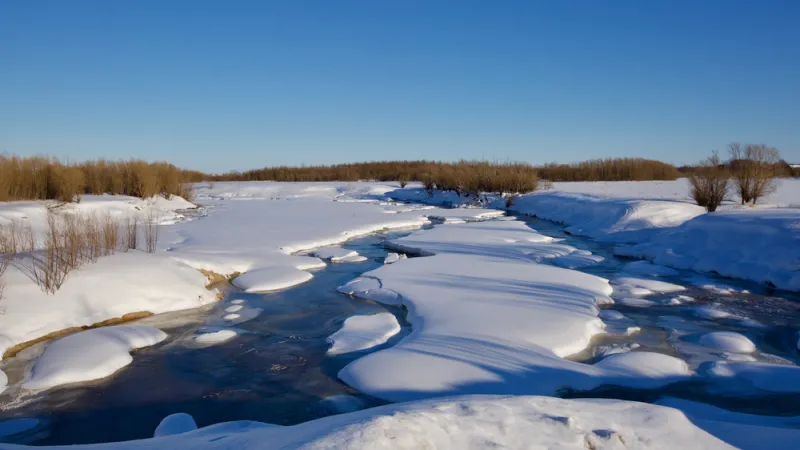 ذوبان الجليد أحيا الفيروسات القديمة من العالم السفلي (فيديو)