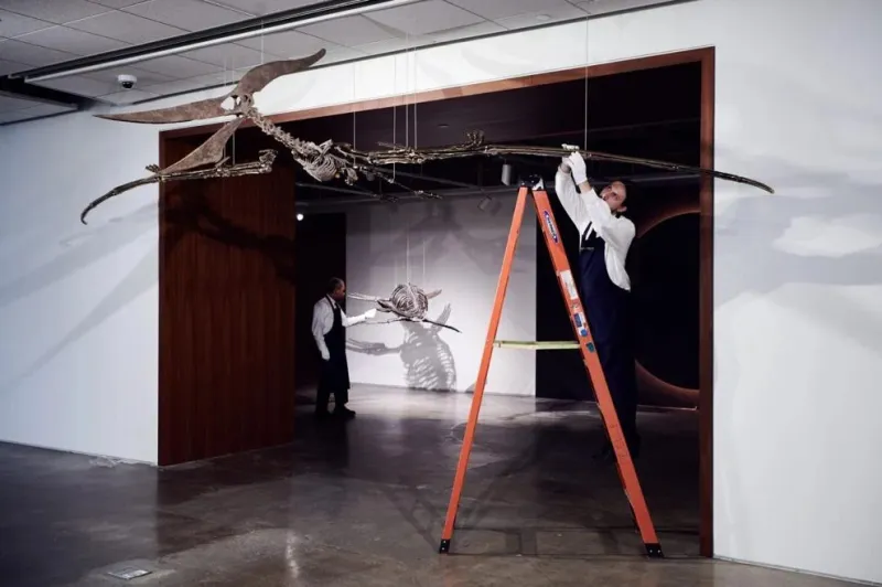 بيع هيكل عظمي عملاق في مزاد بـ 3.9 مليون دولار