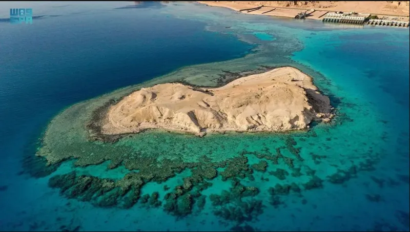 جزيرة الوصل في حقل.. مناظر خلابة وطبيعة ساحرة (فيديو)