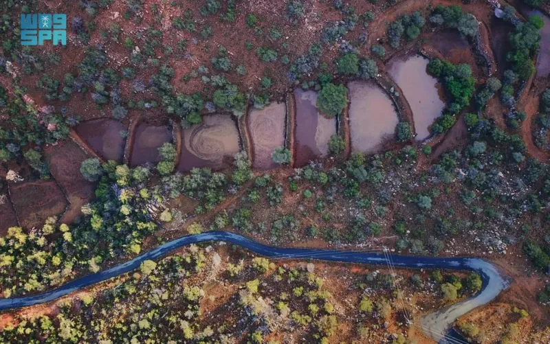 الأمطار ترسم لوحةً خلابة بجبال الطائف 