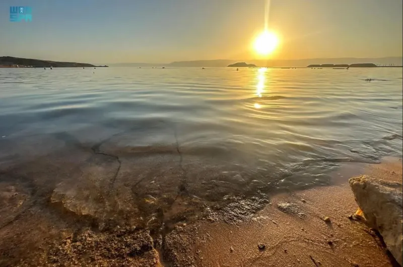 جزيرة الوصل في حقل.. مناظر خلابة وطبيعة ساحرة (فيديو)