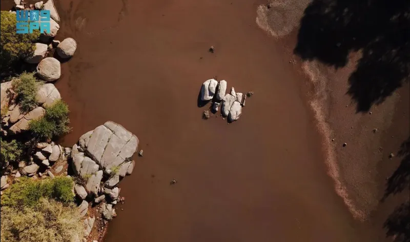 الأمطار ترسم لوحةً خلابة بجبال الطائف 