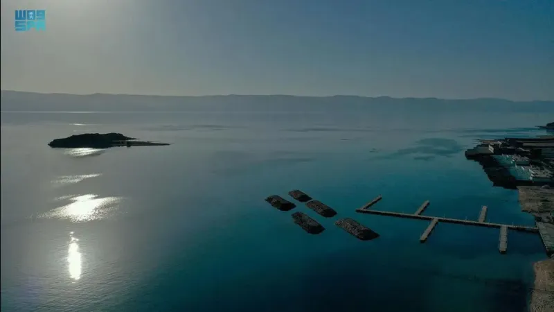 جزيرة الوصل في حقل.. مناظر خلابة وطبيعة ساحرة (فيديو)