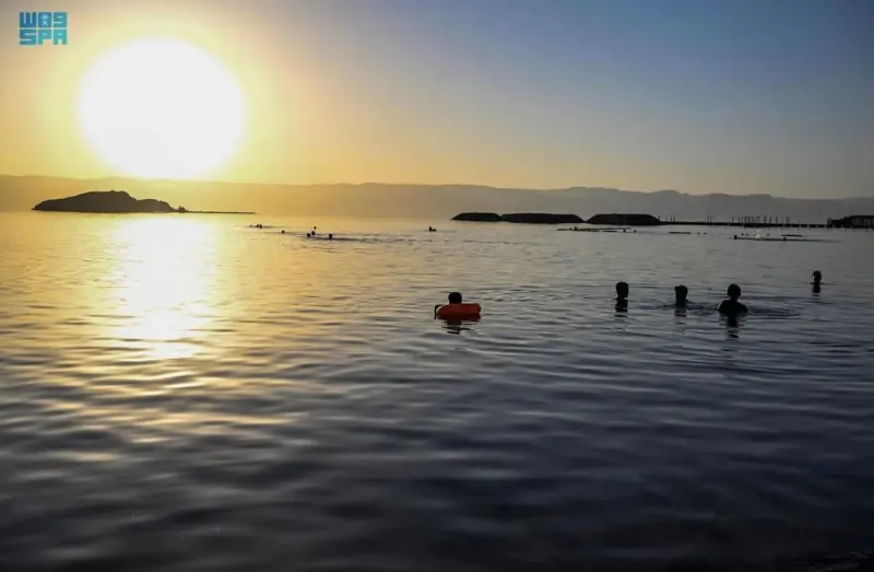 جزيرة الوصل في حقل.. مناظر خلابة وطبيعة ساحرة (فيديو)