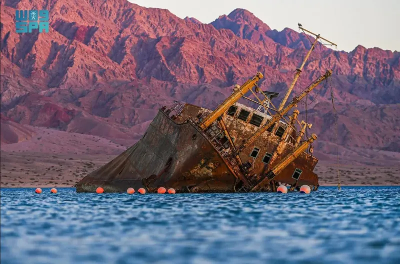 محافظة حقل.. طبيعة خلابة تحتضن البحر على خليج العقبة (فيديو)